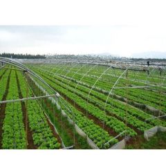 连栋温室搭建 农业温室施工 养殖温室建设